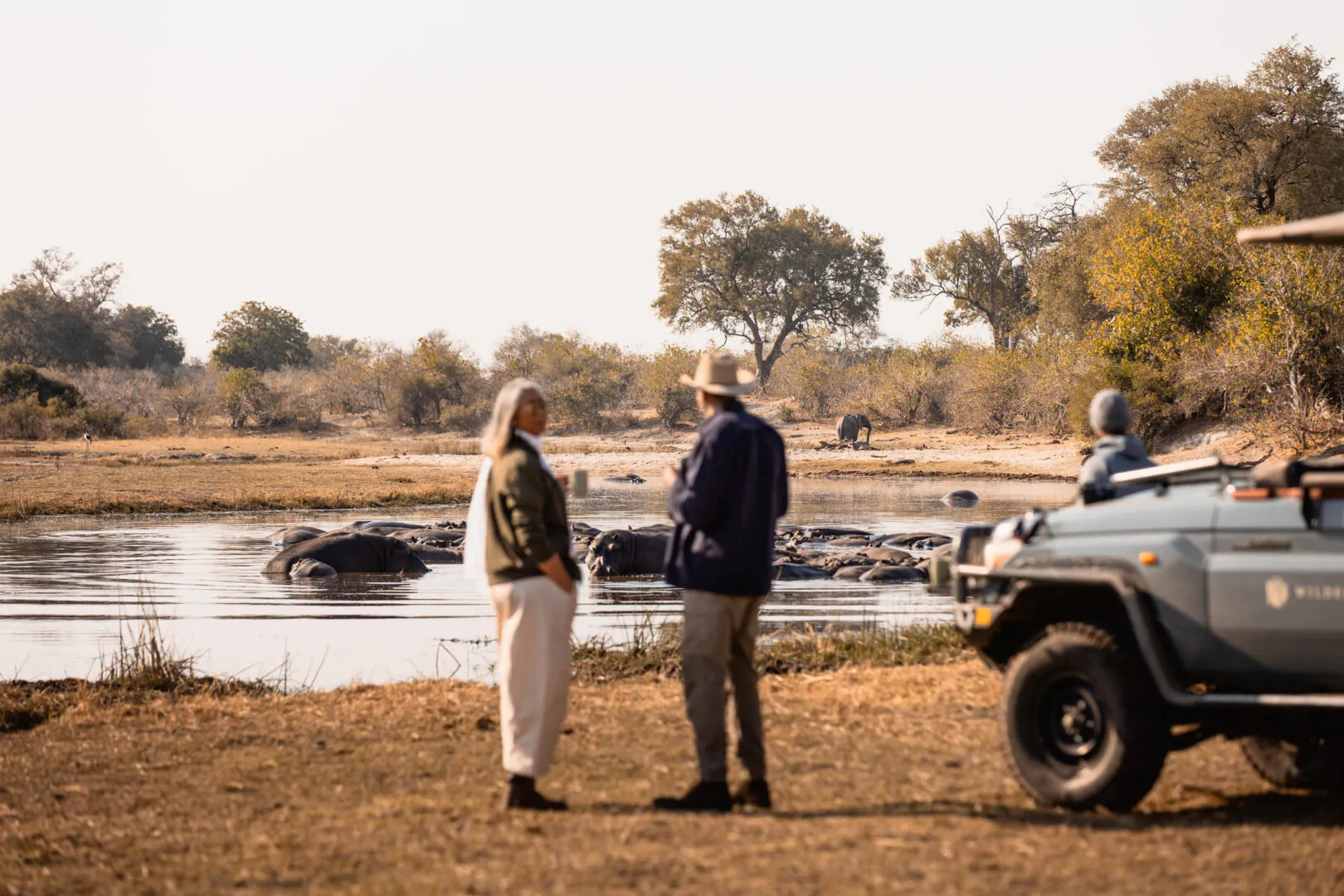 Le safari
