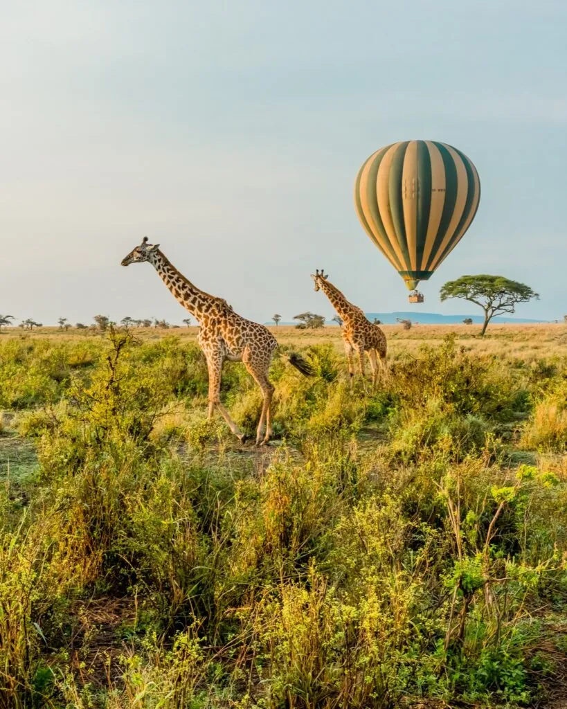 Vacances d’hiver : 10 destinations à explorer en famille