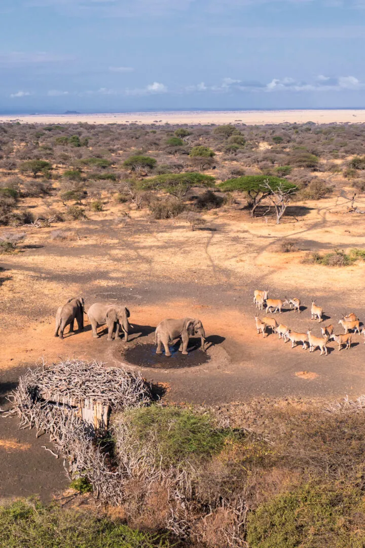 Derniers instants à Nairobi