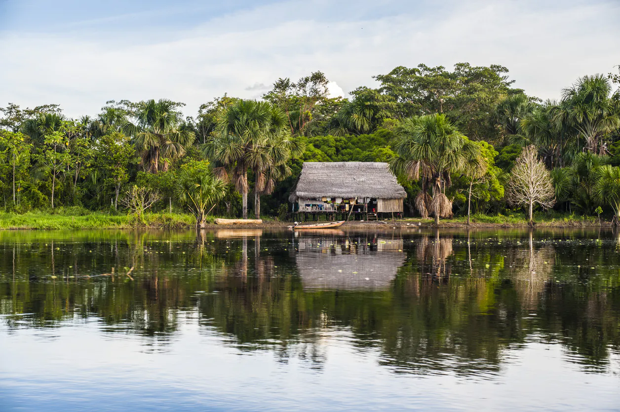Croisière en Amazonie à bord du Delfin