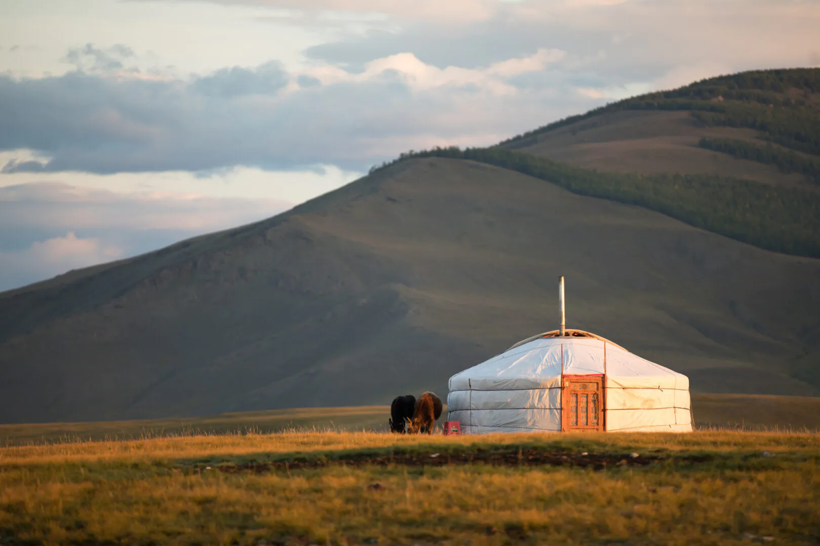 Immersion nature en terre mongole