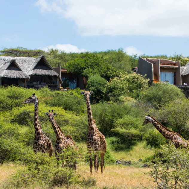 Kenya