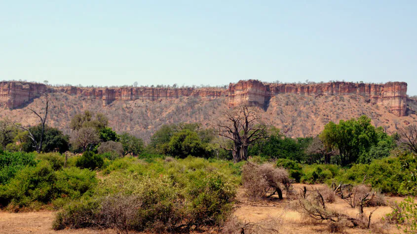 Le safari