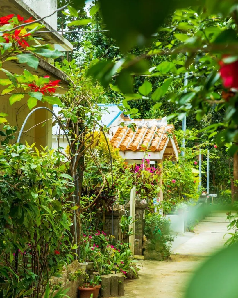 Okinawa : le Japon insulaire et subtropical