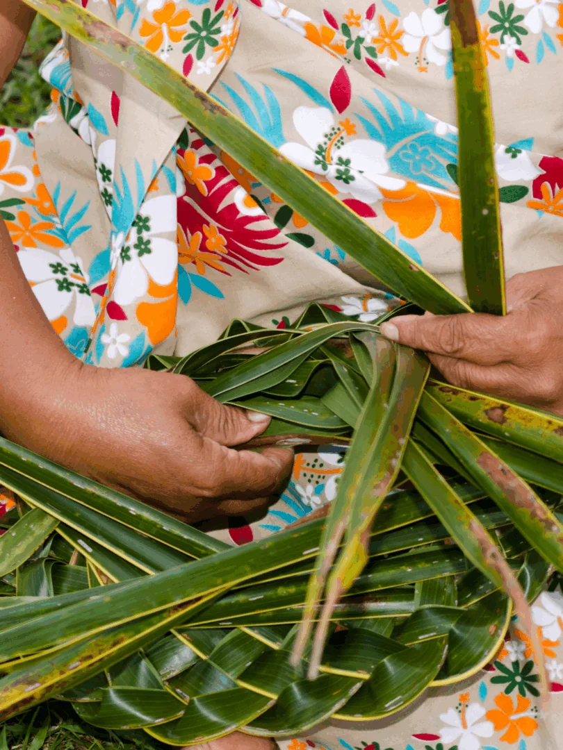 Moorea : Vivre l’île de l’intérieur