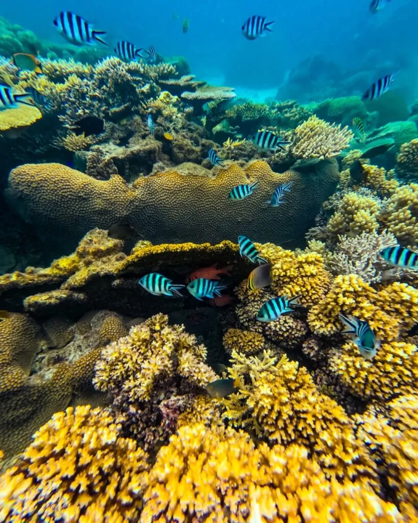 Comment voyager aux Îles Australes, au sud de Tahiti