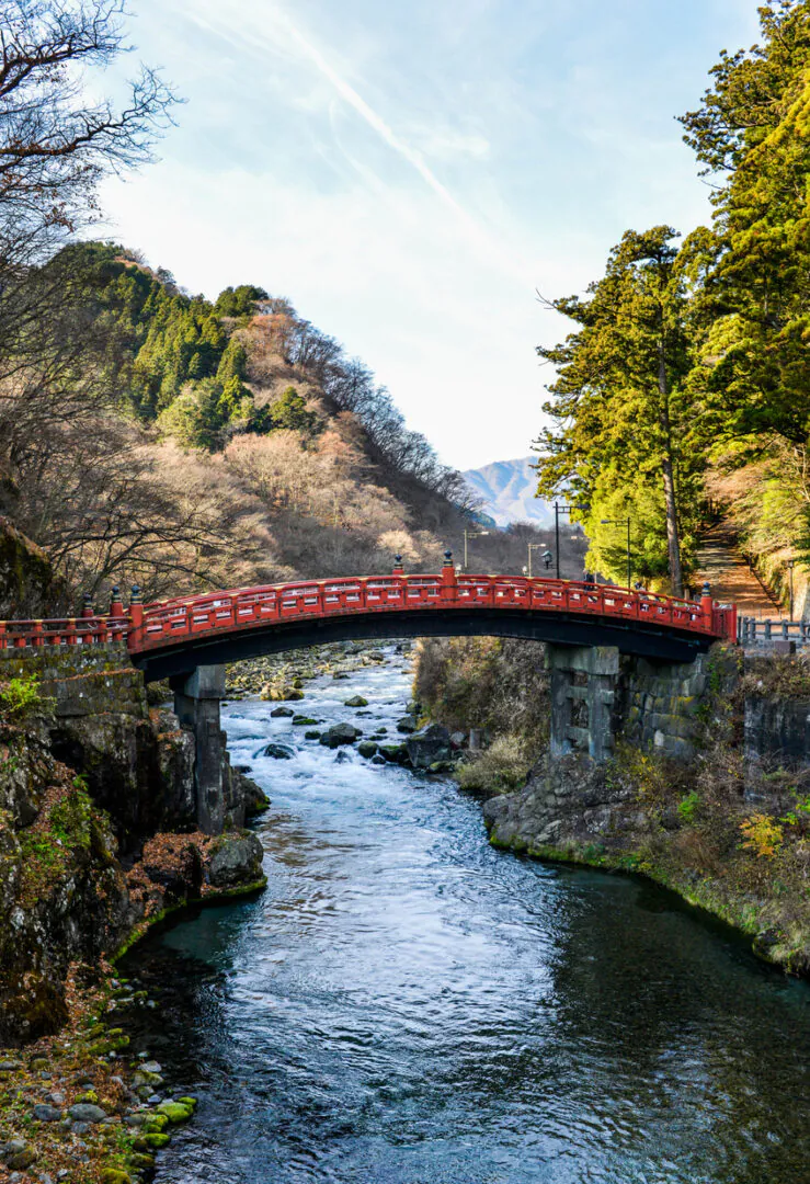 Tokyo – Nikko : Sanctuaires et cèdres anciens 