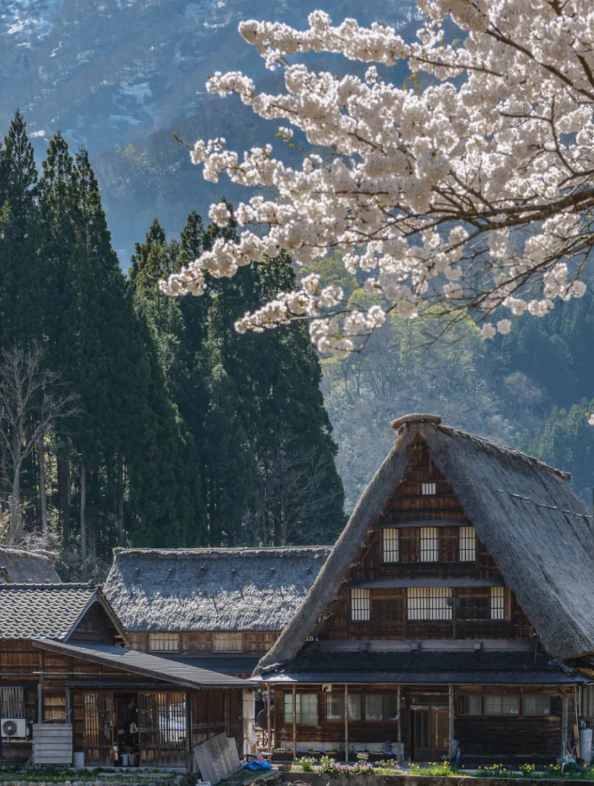 Kanazawa – Gokayama : Villages de montagne hors du temps