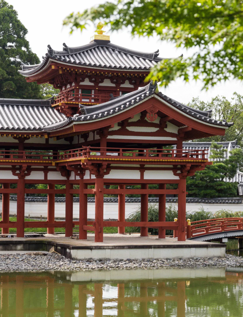 Kyoto – Uji : Collines de thé et temples paisibles 