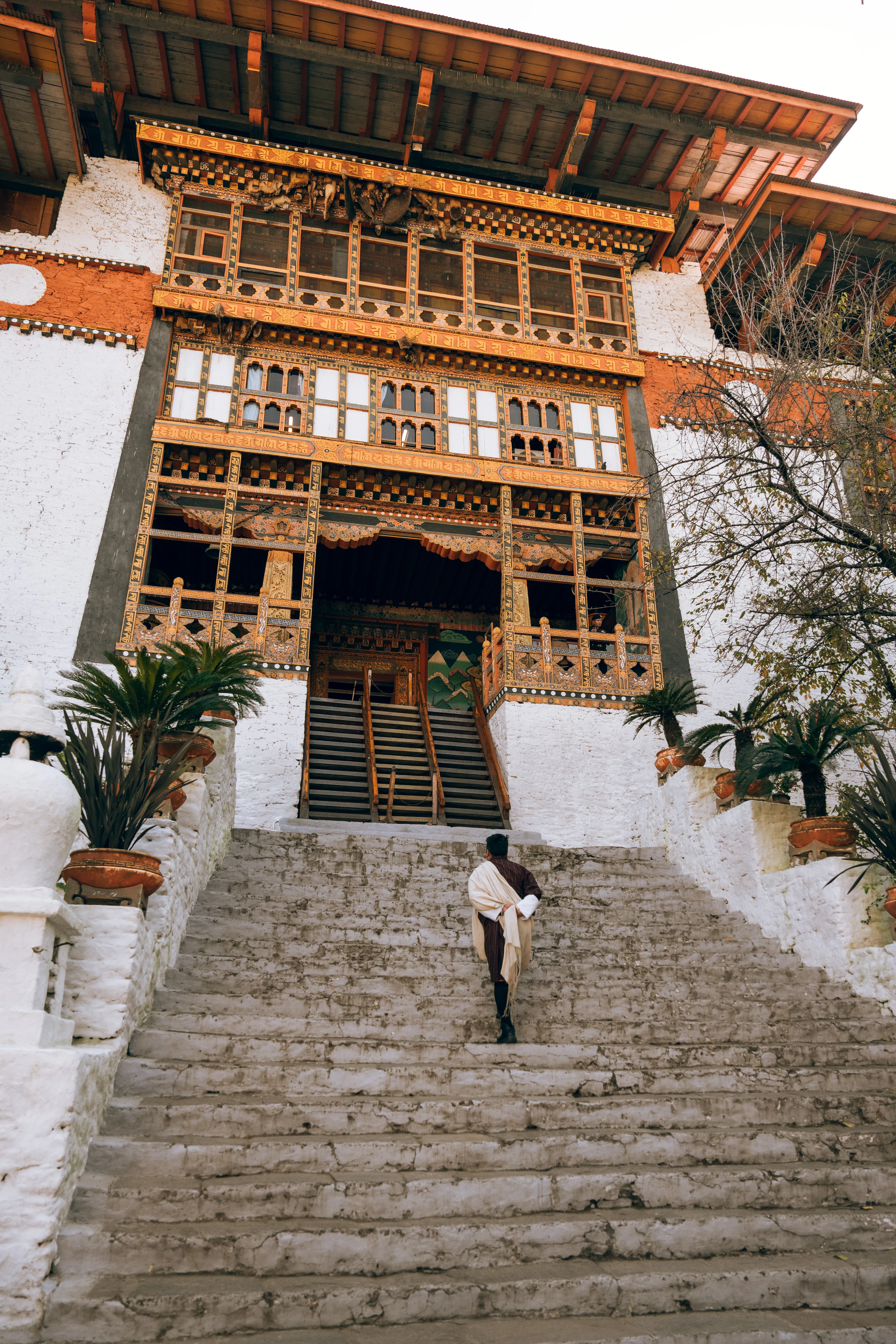 Punakha - Vallée subtropicale 