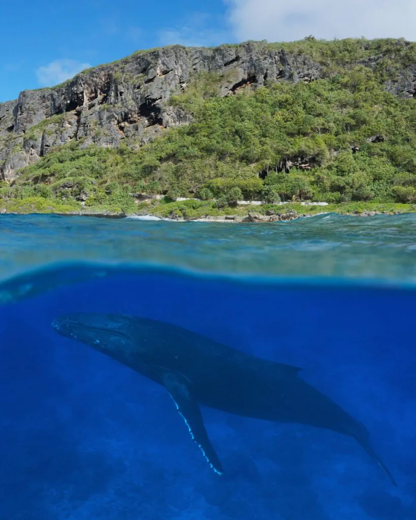 Comment voyager aux Îles Australes, au sud de Tahiti