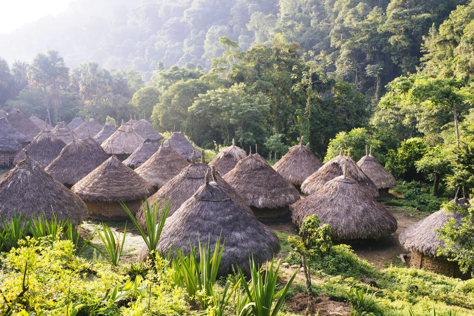 Rencontre avec le peuple Arhuaco, gardiens du cacao et des rivières de la Sierra