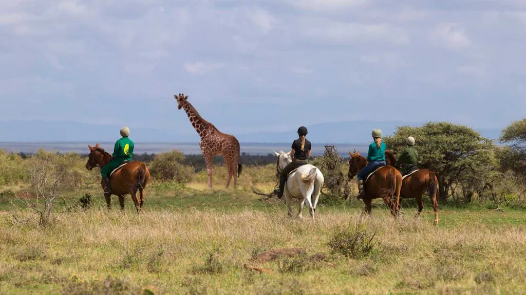 Safari au Kenya : découvrir les conservancies lors d'un voyage sur mesure