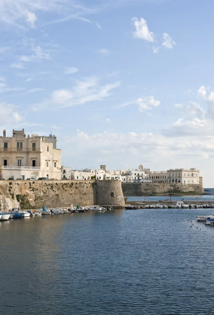 Gallipoli - La mer comme horizon