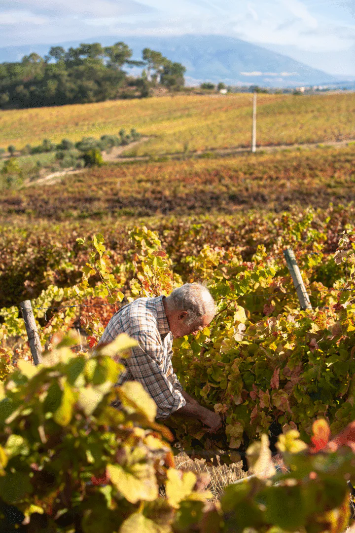 Lisbonne - Côte d’Argent : Du vin aux dunes