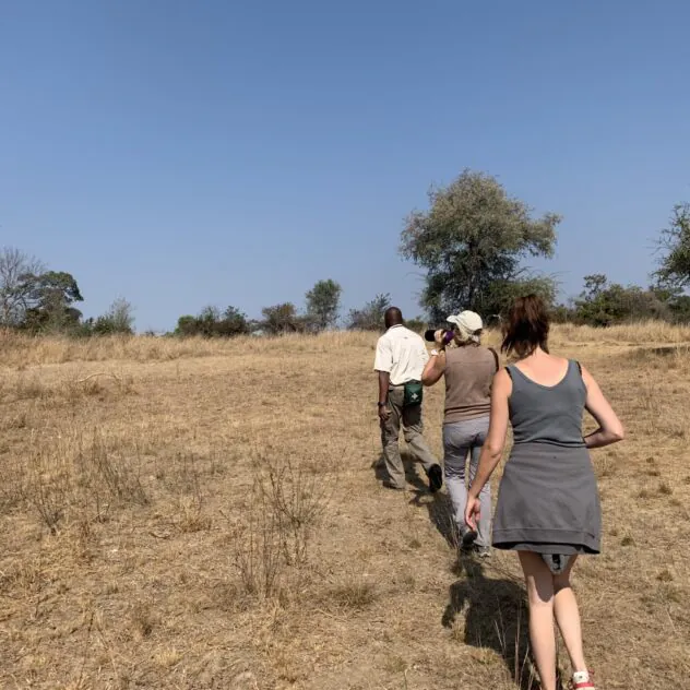 La Zambie des grands safaris : du Zambèze aux plaines de Busanga